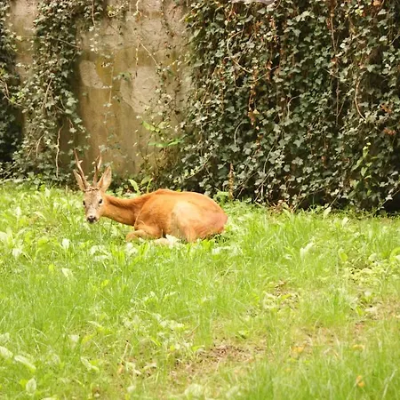 Gasthof La Tagliolina *