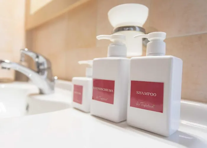 Mini-hôtel La Tagliolina *