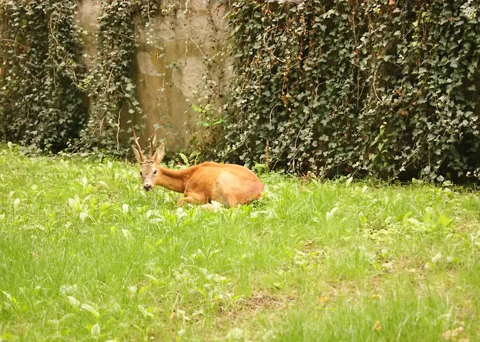 Herberg La Tagliolina *